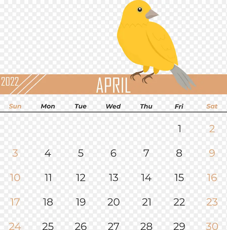 �滭 ���� ����-������