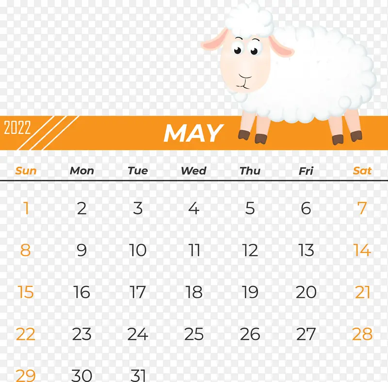 ���� ���� ��-������