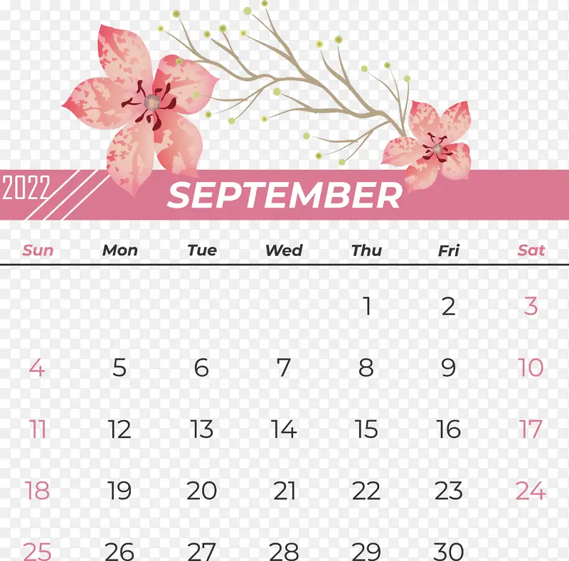 �ƽ�ָ�ȷ���쳲�������ֱ�߿ռ����г������ѧ-������