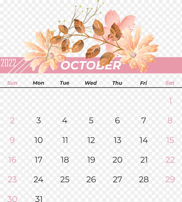 �� ���� ��-������