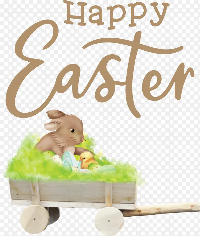 ��ֽ �Ǳ� ��ѧ-������