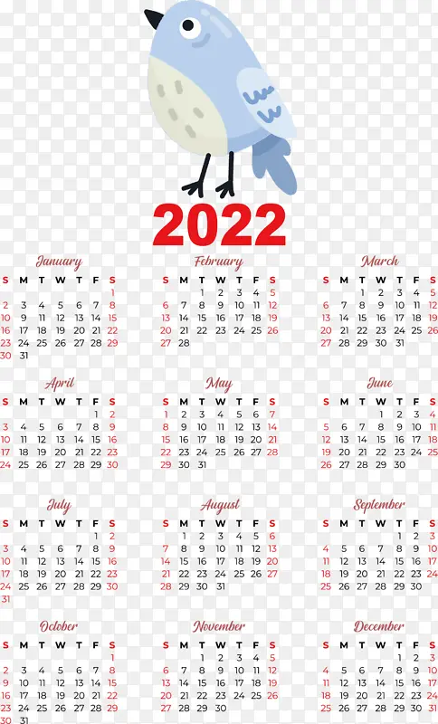 ���� �� ��-������