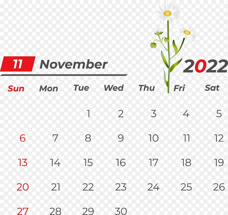 ���� ���� ����-������