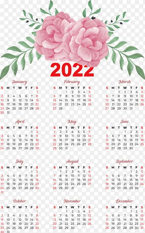 ���� ���� �Ǳ�-������