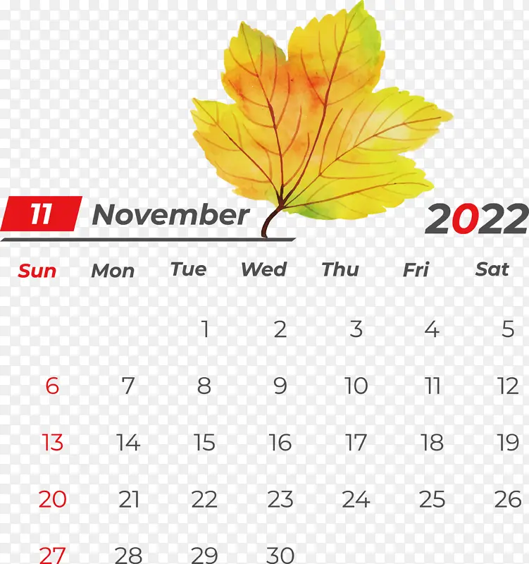 Ҷ �� ��֦-������