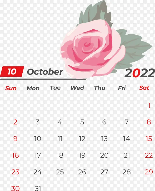 ���� �滭 ����-������