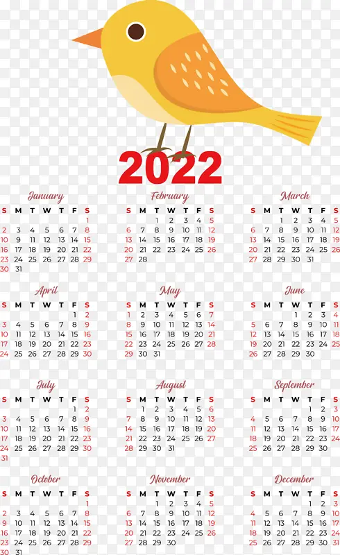 ���� �� �-������