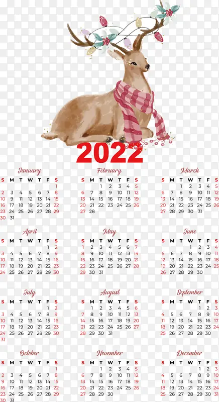 ѱ¹ ¹�� ����-������