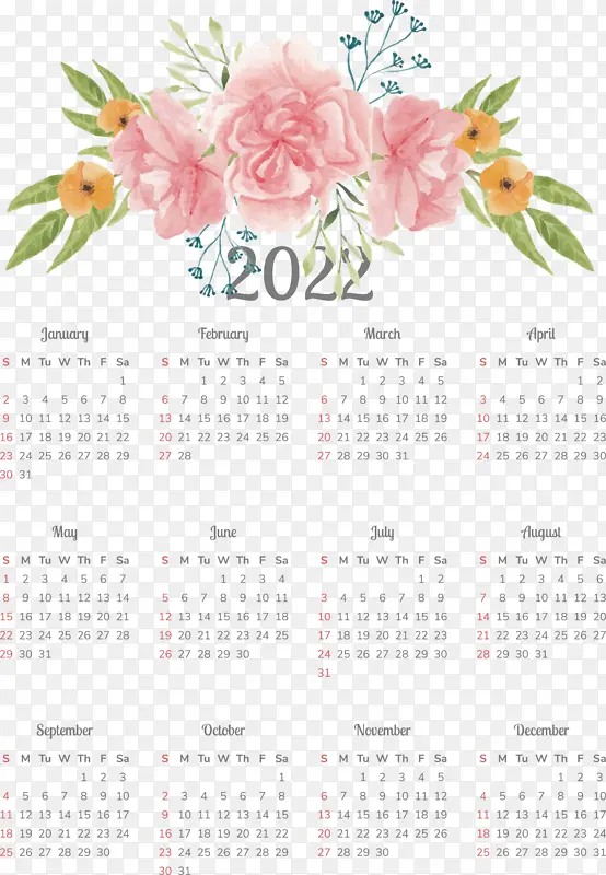 ������� ���� ֲ��-������