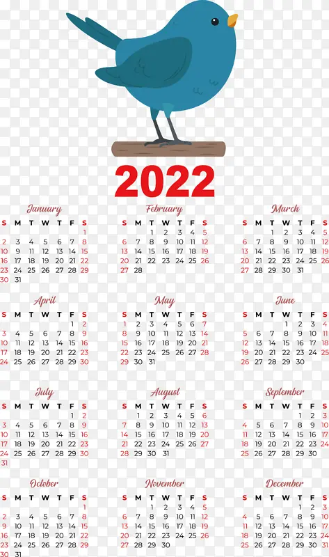 ���� �� �-������