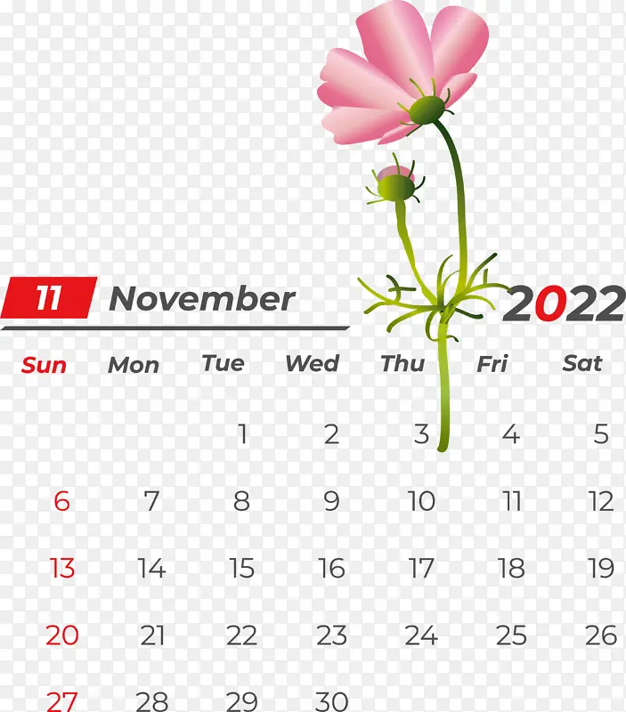 ���� ˮ�ʻ� ����-������