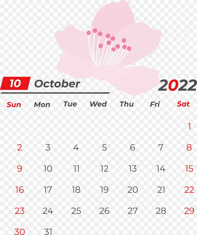 ���� �� ��-������