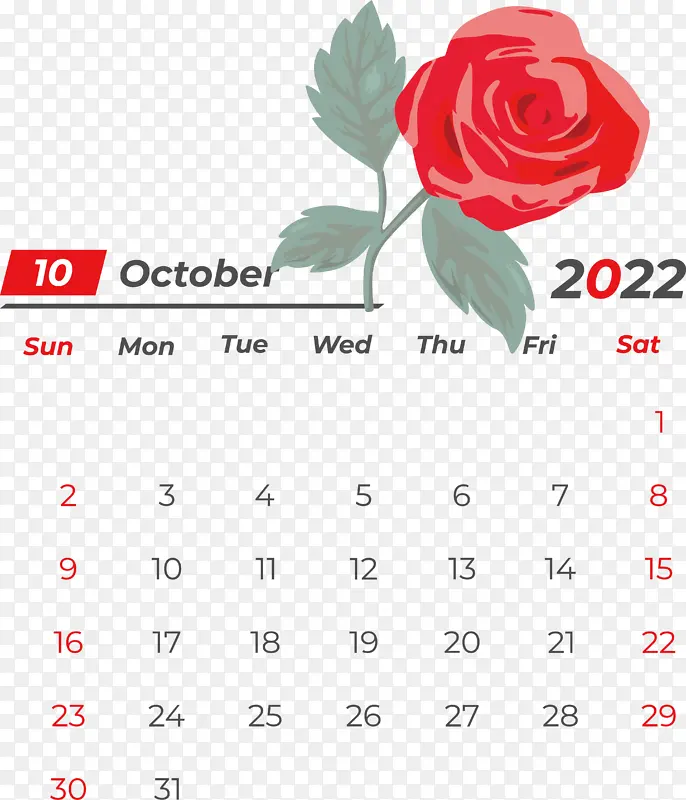 ���� ˮ�ʻ� ����-������