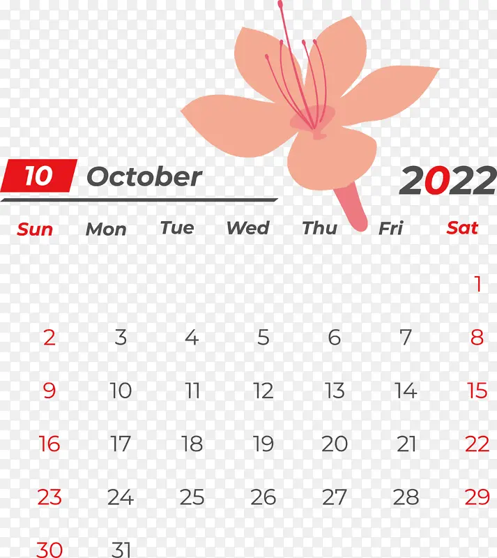 �� ���� ��-������