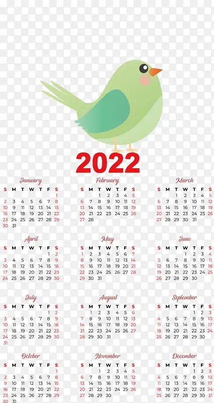 ���� � ����-������