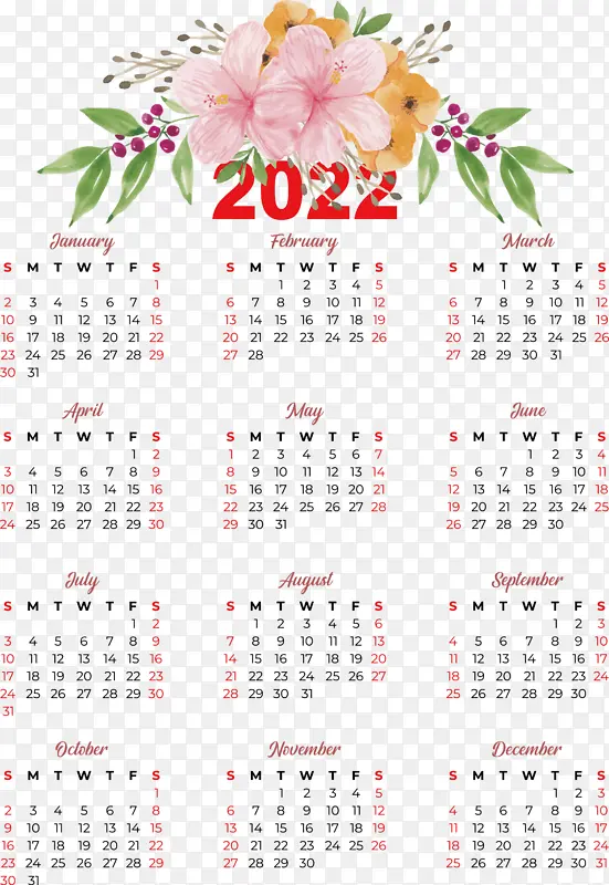 ���� ���� �Ǳ�-������