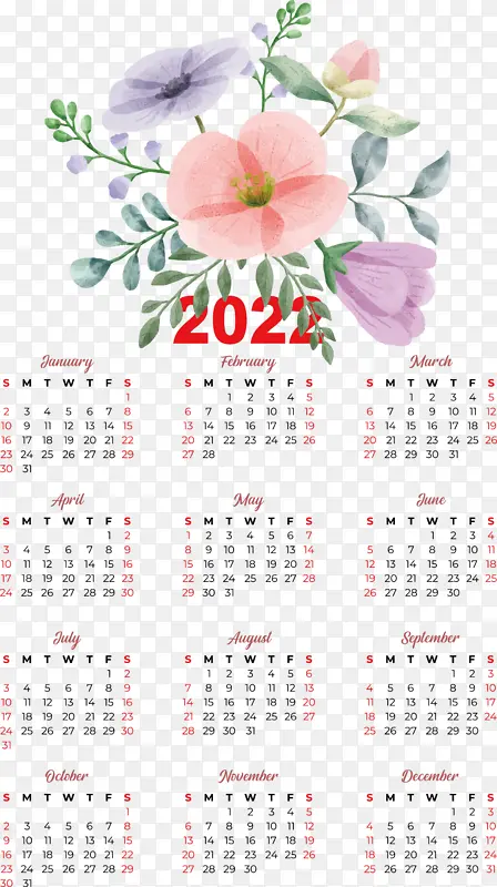 ���� ˮ�ʻ� ����-������