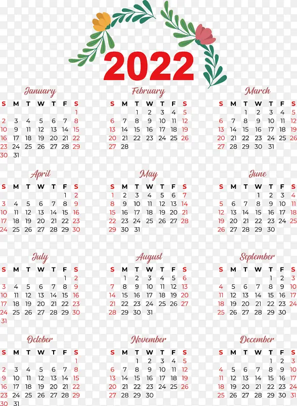 ���� �� ��-������