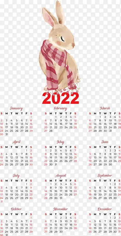 ���� �ڱ� �Ǳ�-������