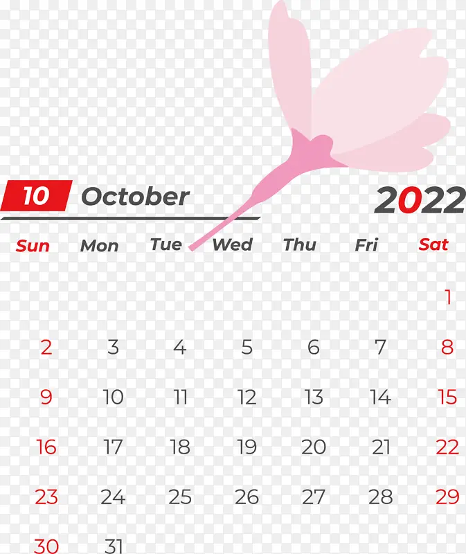 �� ���� ��-������