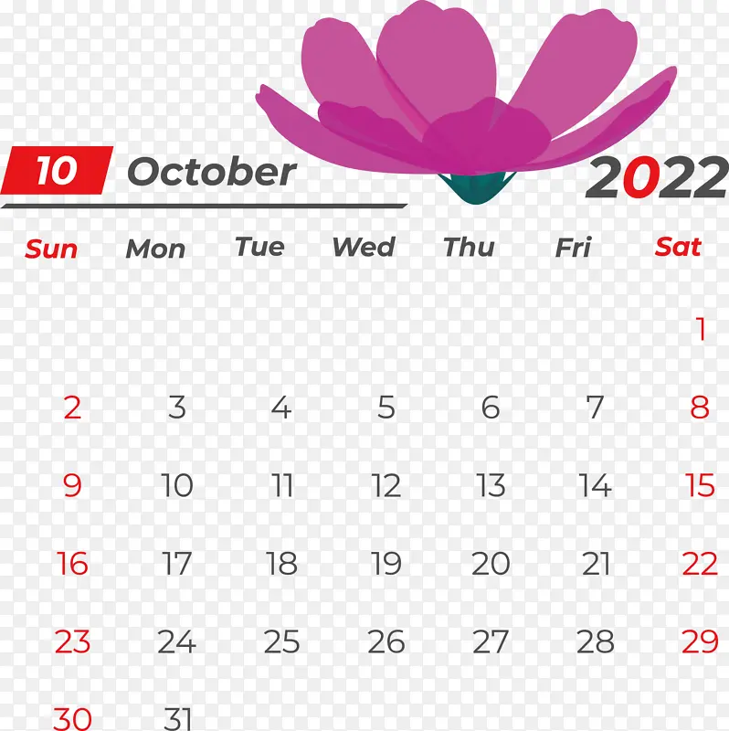 �� ���� ��-������