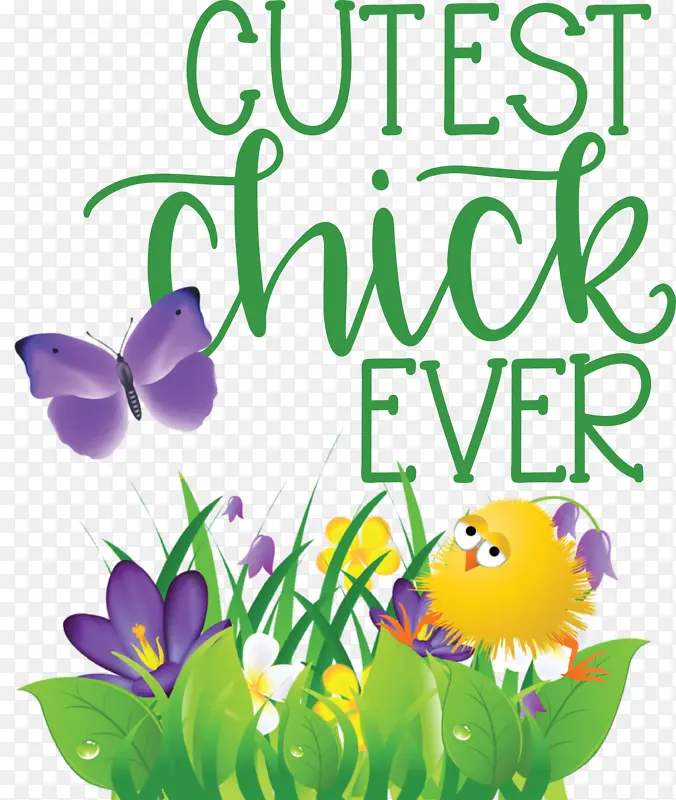 ������� ���� ������-������