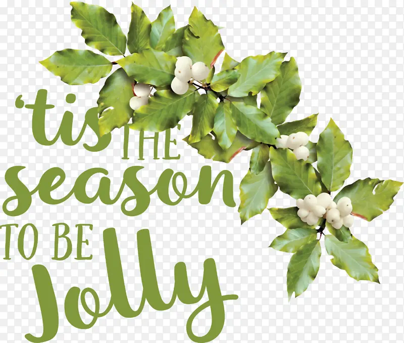 Ҷ ��֦ ��-������