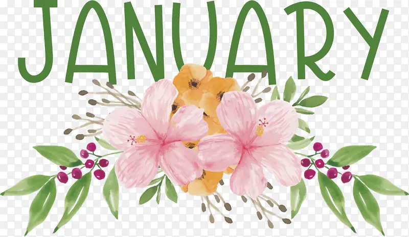 ���� ˮ�ʻ� ��õ��-������