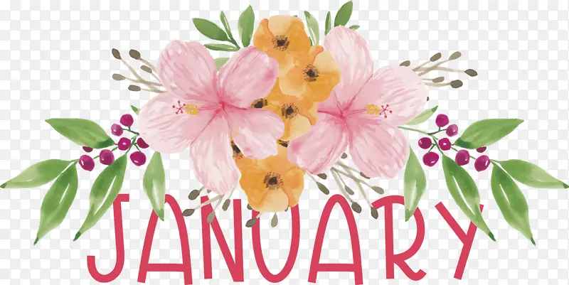 �滭 ���� �������-������