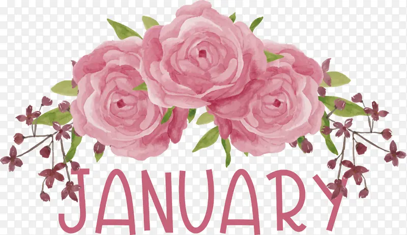 �滭 ֽ�� ˮ�ʻ�-������