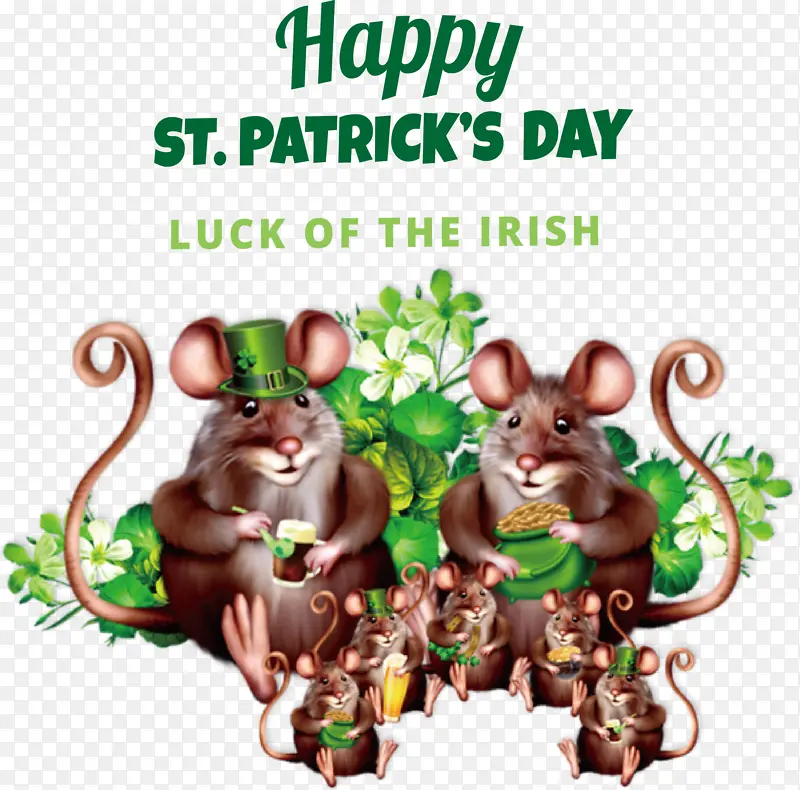 ���ݶ��� ����-������