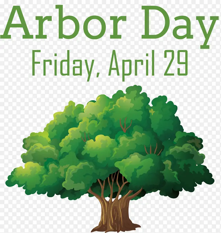 ��Ȼ ��ľ �ʼ�����-������