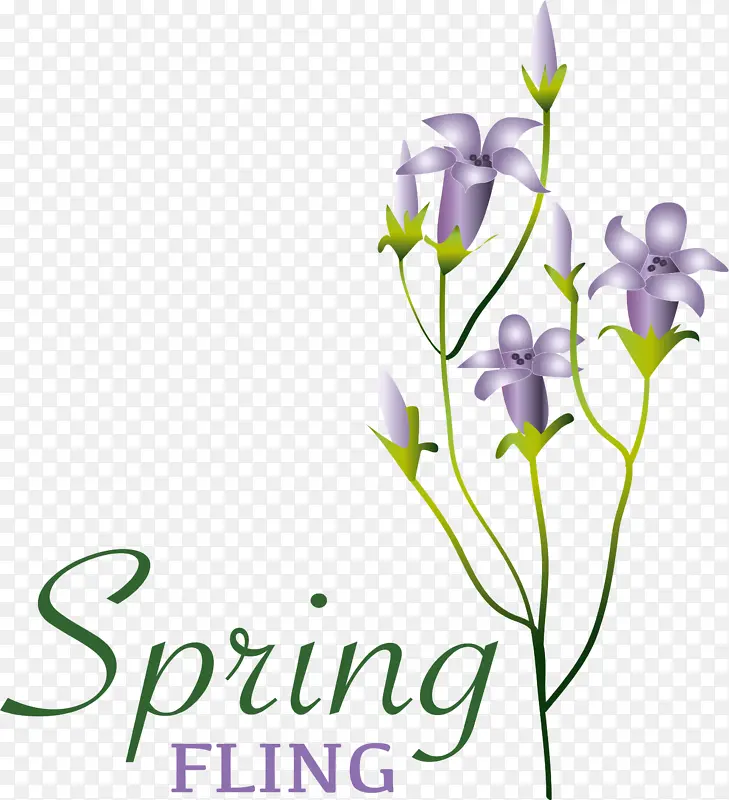 ���� ˮ�ʻ� ����-������