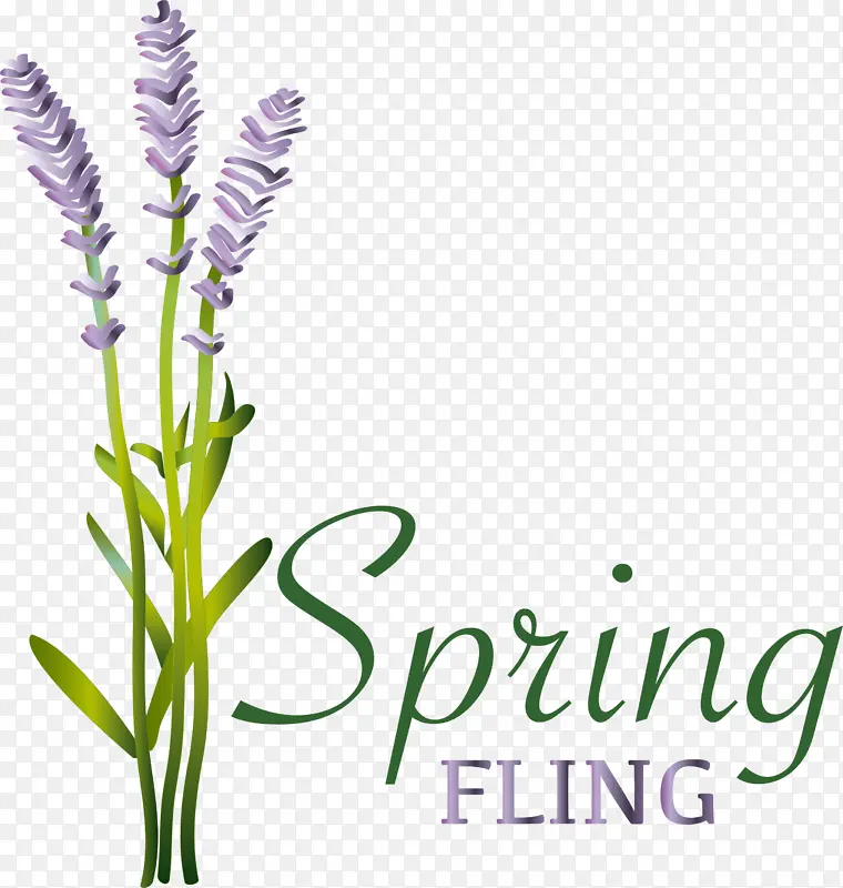 Ӣ��޹�²� �� ����-������