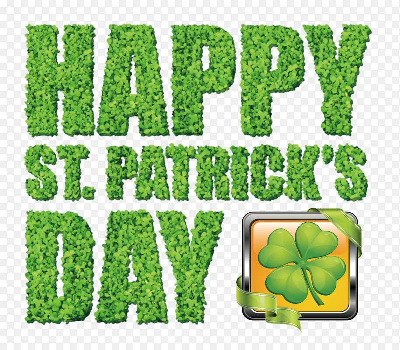 ��ɫ �� ��-������