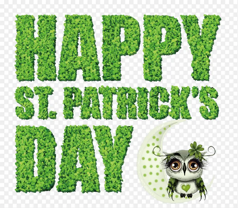 ��־ ��ɫ ��-������