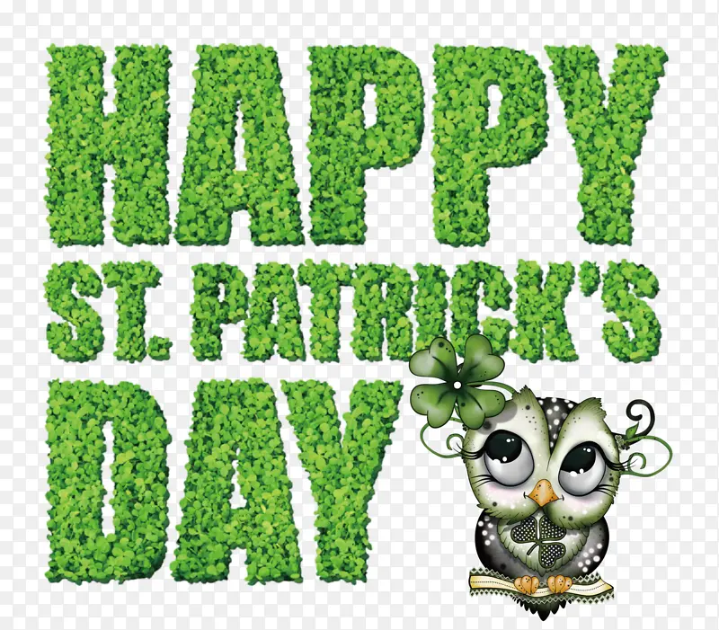 ��ɫ �� ��-������