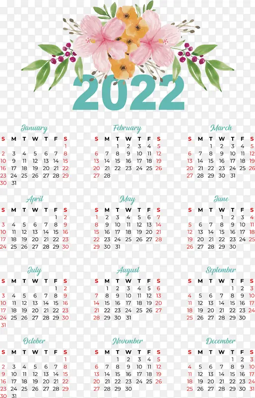 ���� �Ǳ� ֲ��-������