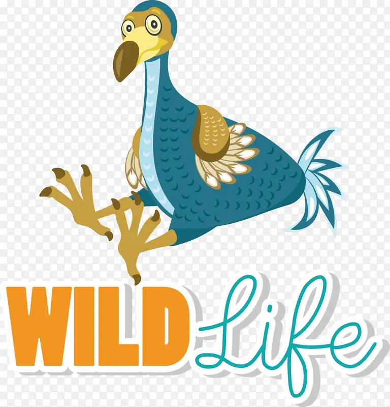 ���� � ��־-������