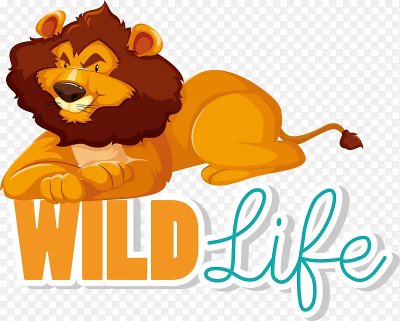 ʨ�� è ��ͨ-������