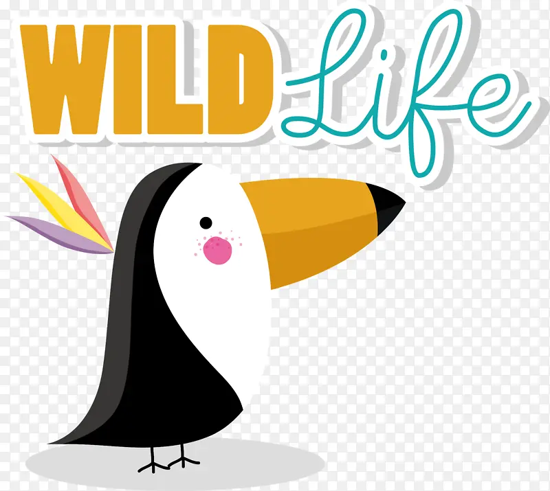 ��־ ���� �-������