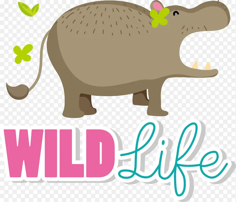 ��־ ��ͨ ����-������