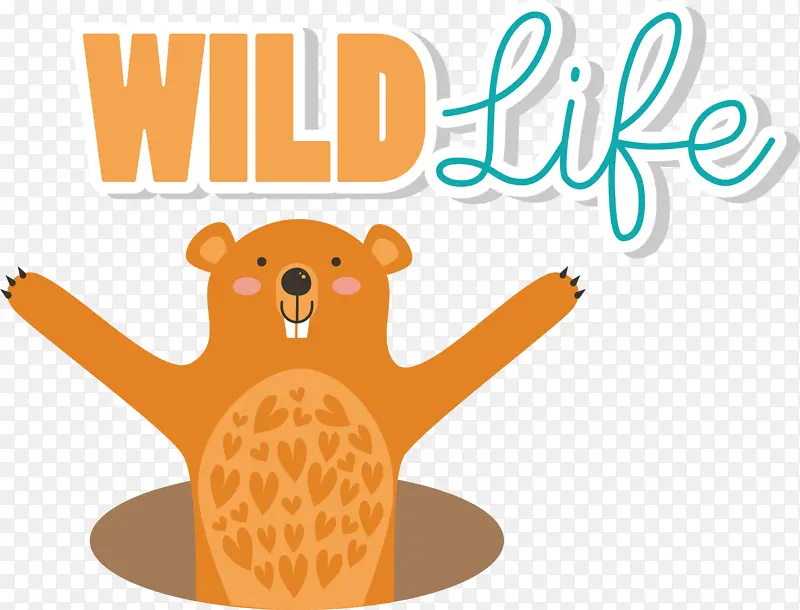 ��ͨ �Ǳ� ����ѧ-������