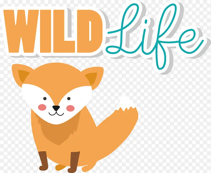 è �� ����-������