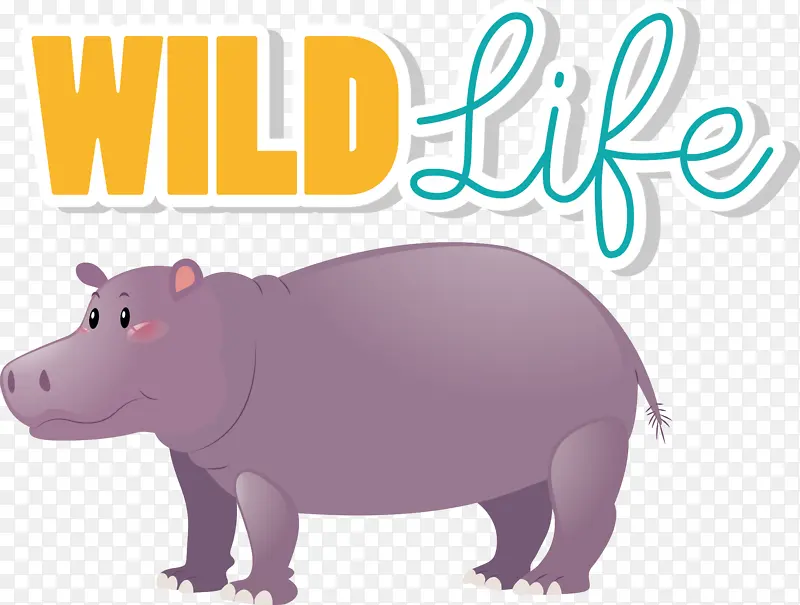 ��ͨ �� ����-������