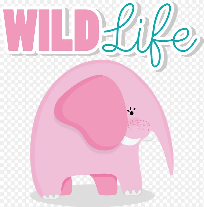 ���� ��ͨ ����-������