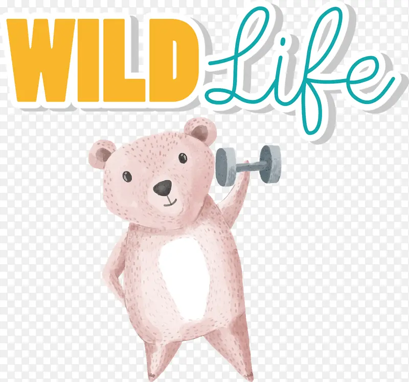 �� ̩���� ����-������