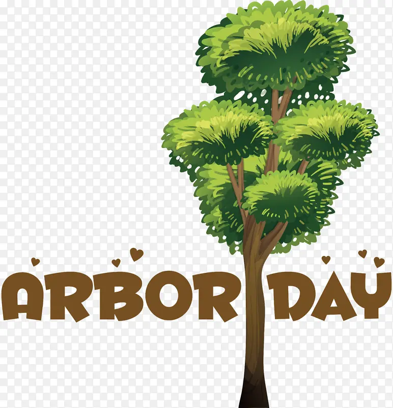 ���� ��-������