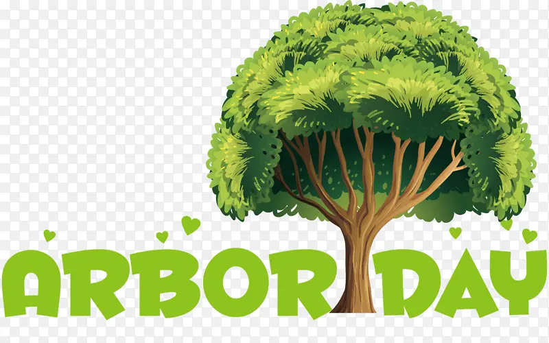 ���� ³�ȿ�˹�� ��-������