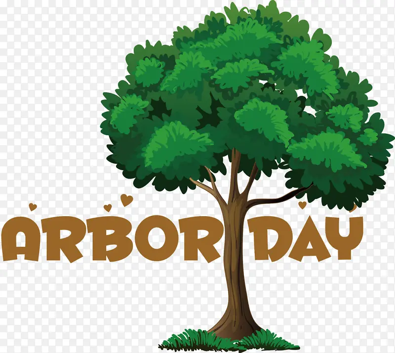 ��ͨ ��-������